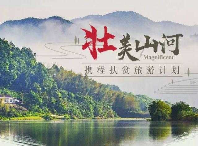 探索天涯之精华——怎么在网上申请离婚交流平台