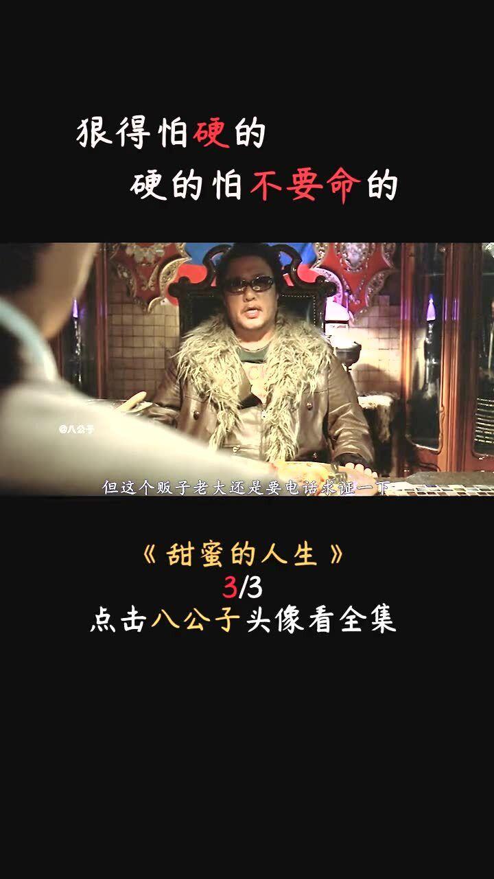 小猫钓鱼正版下载中文版